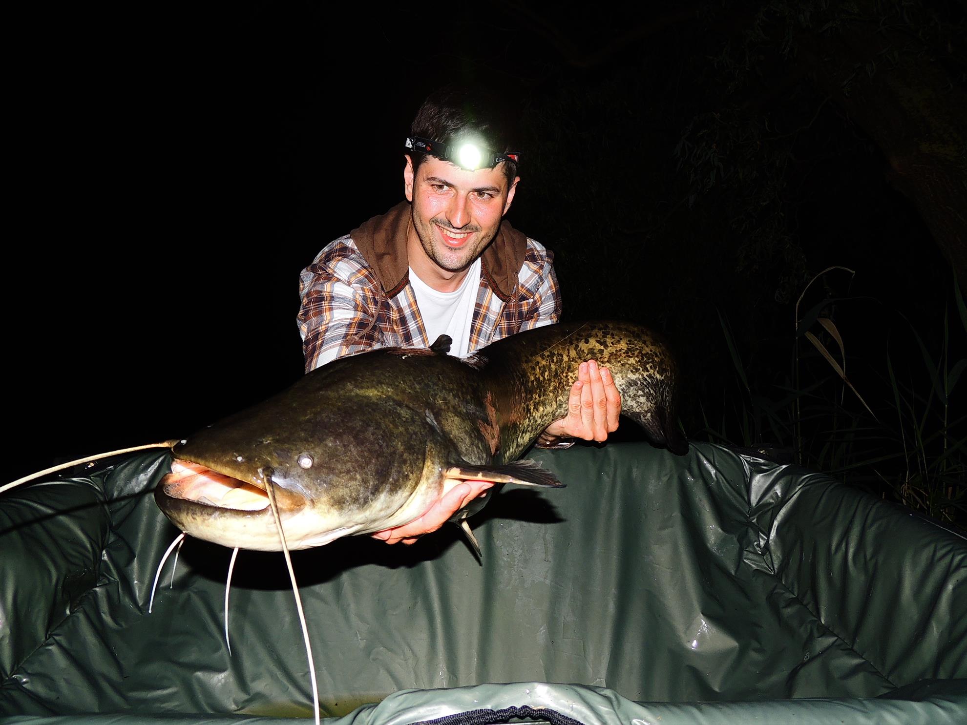 Tancabesti 14 - 16 iunie 2015 - dscn6799.JPG